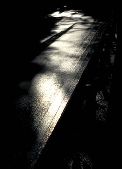 shining road.jpg